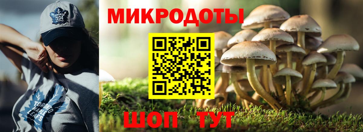 Волгодонск  купить  сайты  Вход с VPN  Галлюциногенные грибы MAGIC MUSHROOMS 